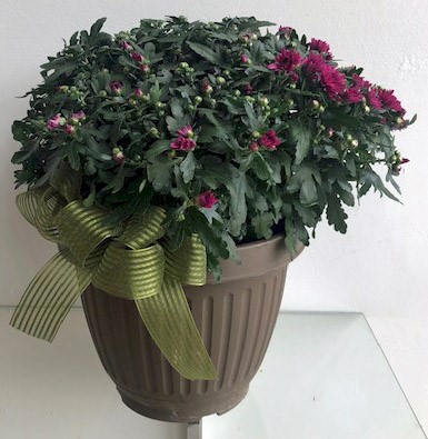 Flowers from Kadoka Nursing Home 
Residents and Staff