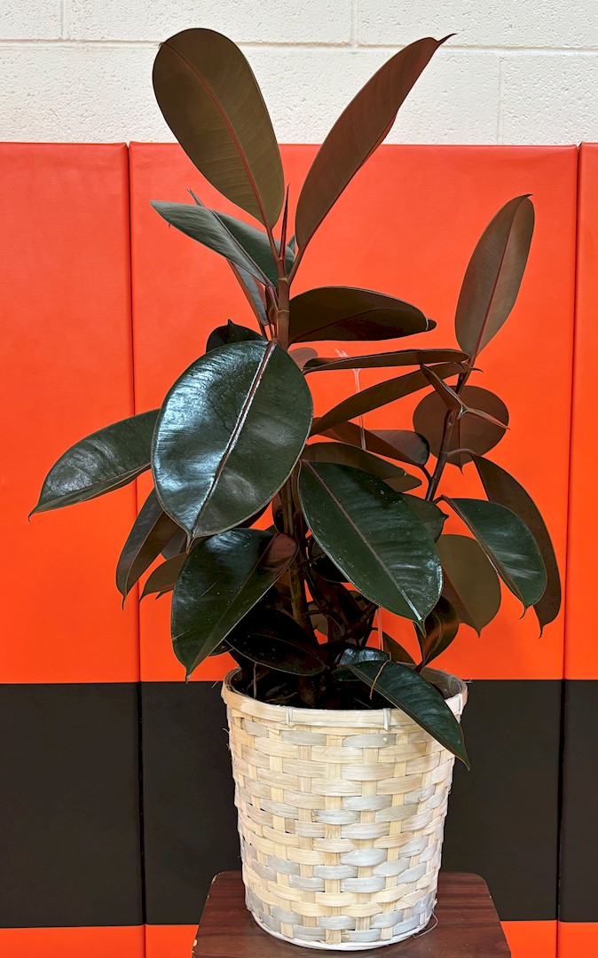 Flowers from Kathleen Leutenegger; Cory and September Kirby; Rich and Shawna Bendt and Family; and Brian and Starette Nash and Family