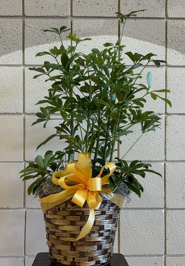 Flowers from Your Friends at Innovative Solutions
