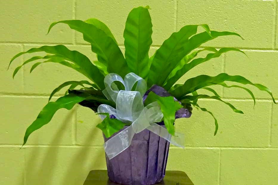Flowers from Kadoka Area School Board, Staff, and Administration
