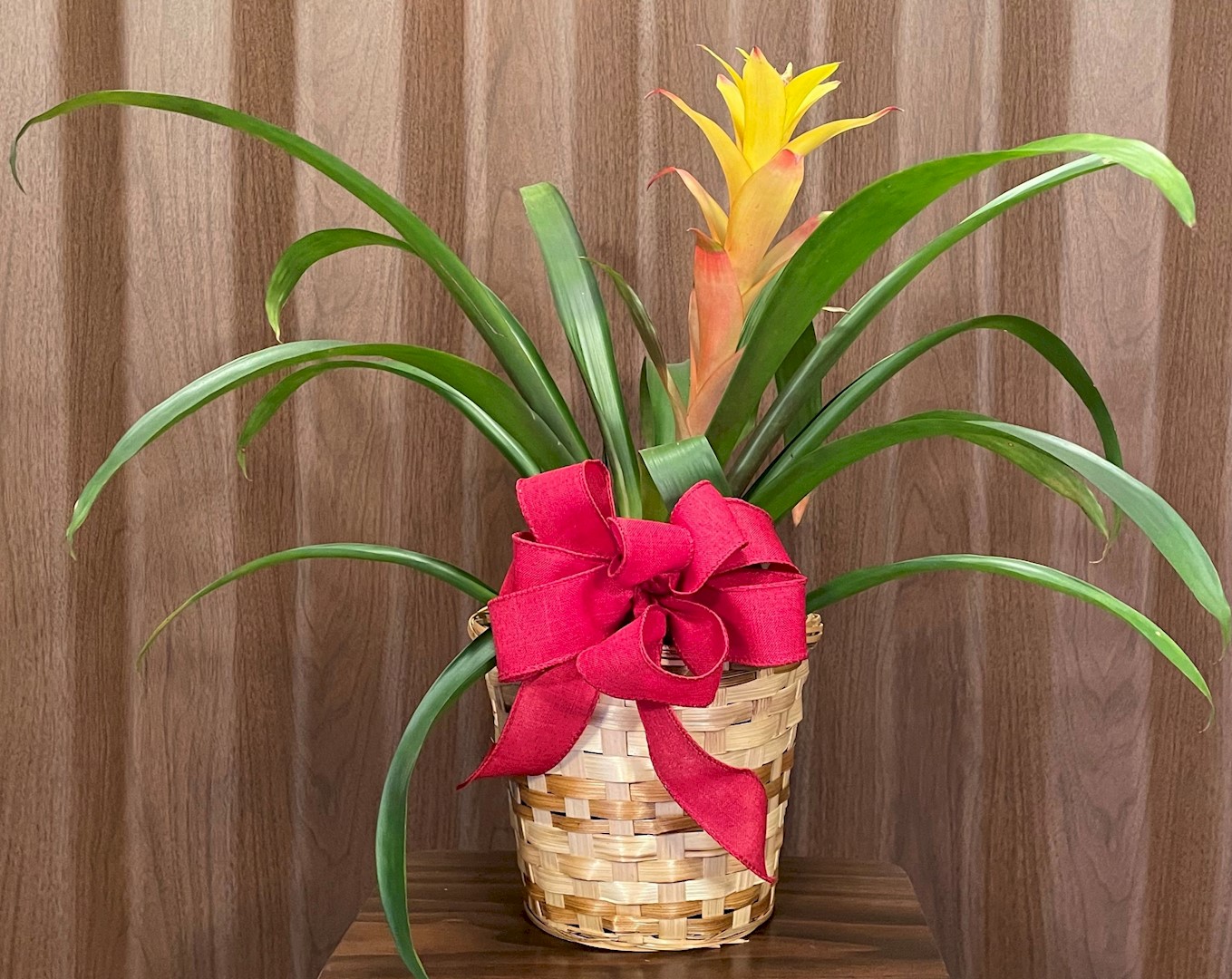 Flowers from Melody Kelly
Chuck Carstensen