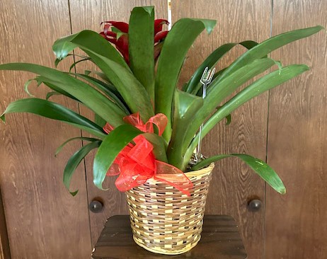 Flowers from Friday Night Group