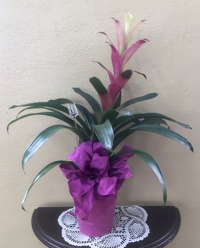 Flowers from Lois