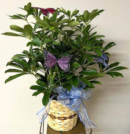Flowers from JoDee and Grant; Jami and Jim; and Rocky and Ronelle