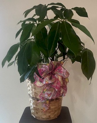 Flowers from WHS Class of 2002