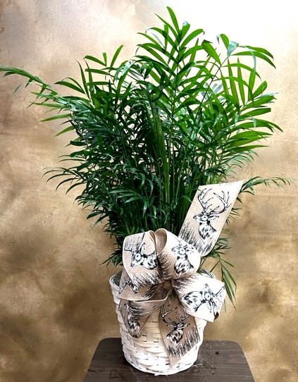 Flowers from Haakon County Employees