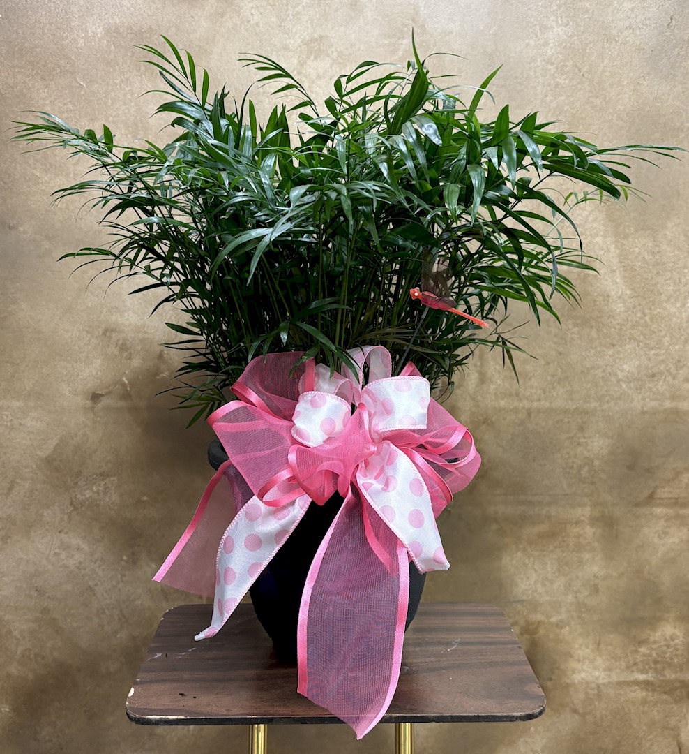 Flowers from Evangelical Free Bible Church