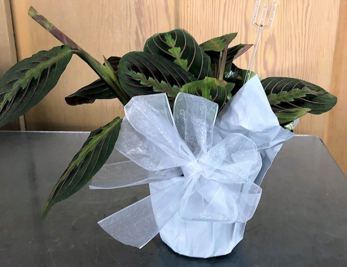 Flowers from Dale Koehn and Kathy Brown