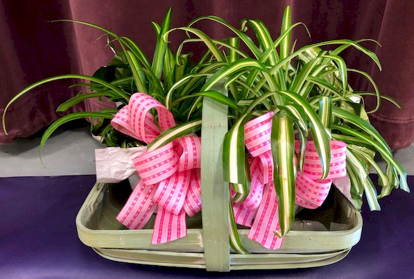 Flowers from Enders Insurance Agency
