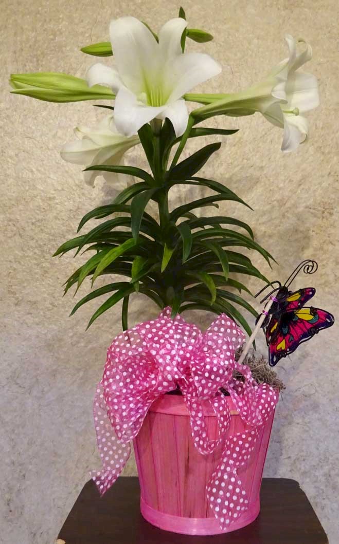 Flowers from Juston and Donna