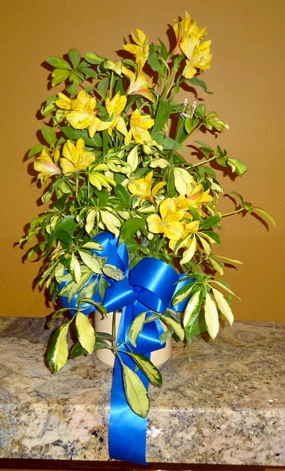 Flowers from The Douglas Family, Andy Fouberg, and The Novotny Family
