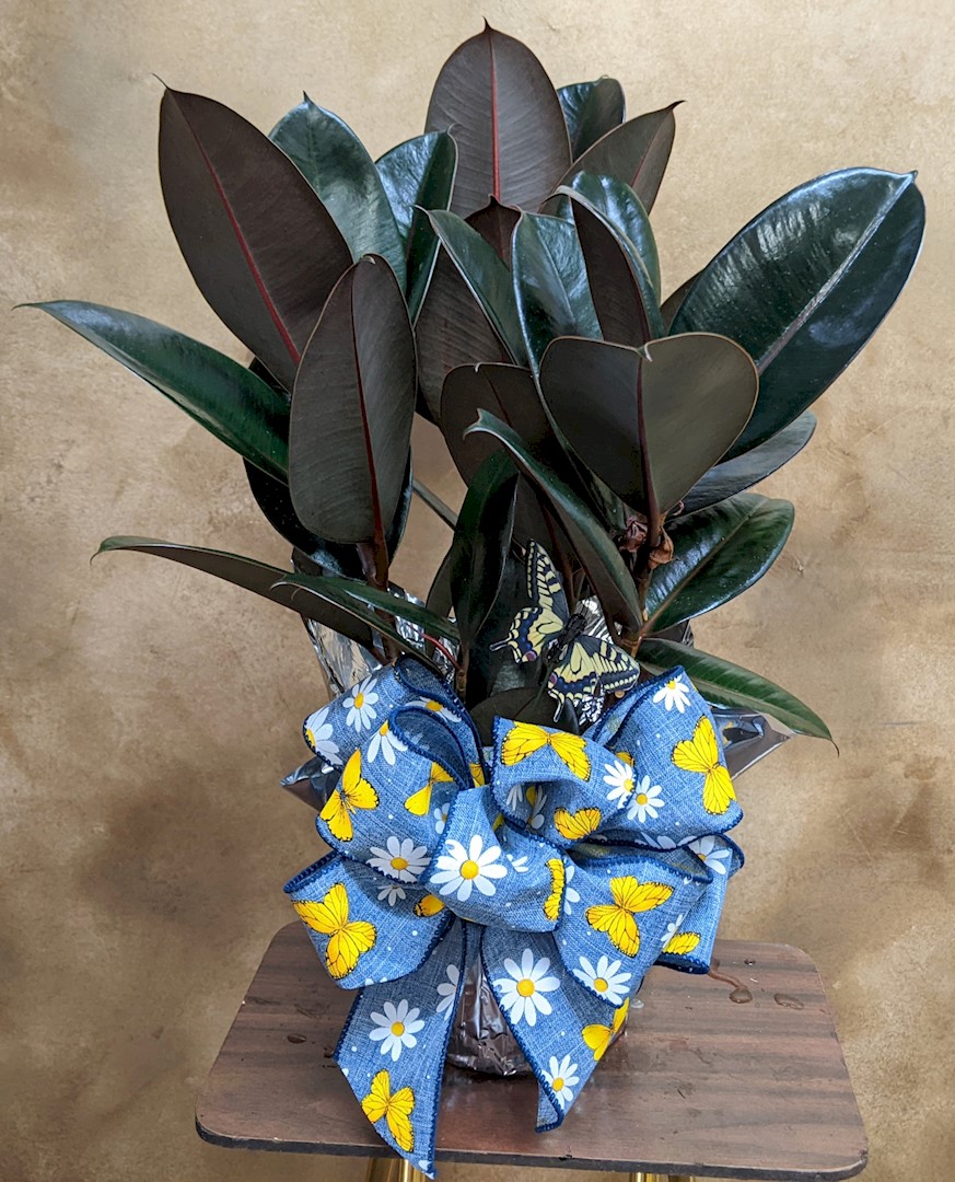 Flowers from Haakon School Board