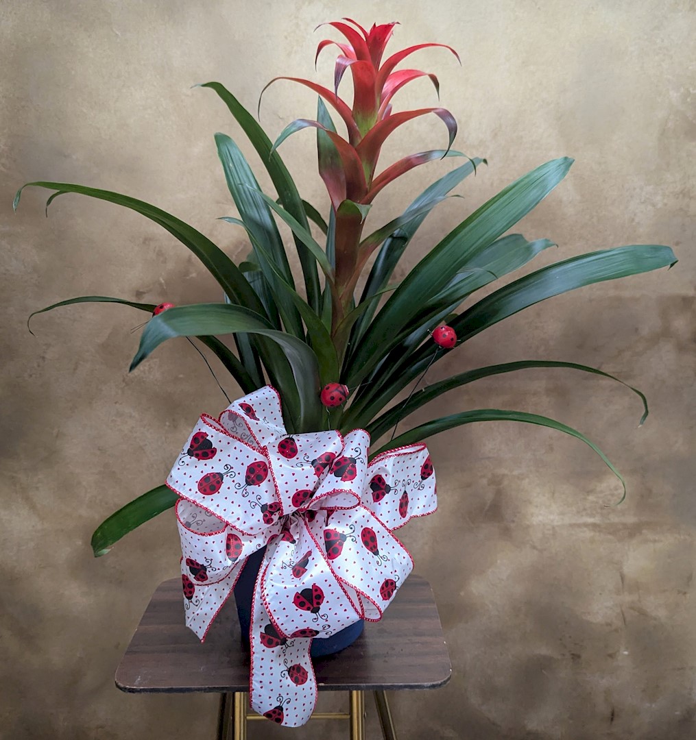 Flowers from The Neville Family: Nancy, Bobby Gene, Marty and Molly, Randy and Bessie, and Families