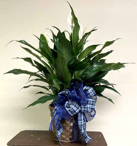 Flowers from Karch, Lissa, and Boys and Richard and Lorayna Papousek
