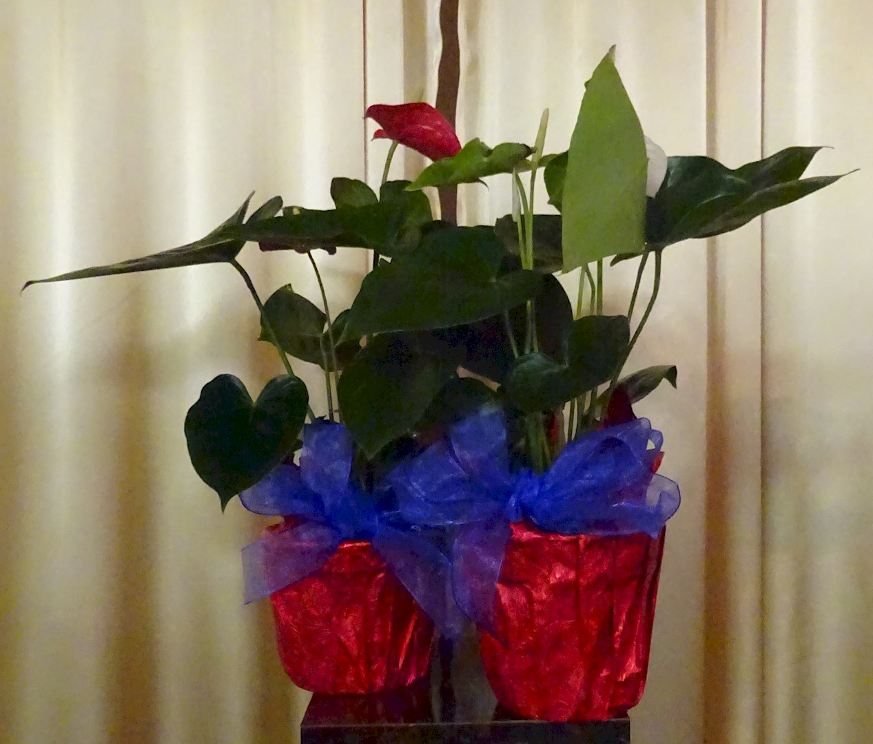 Flowers from Marie Addison and her family
