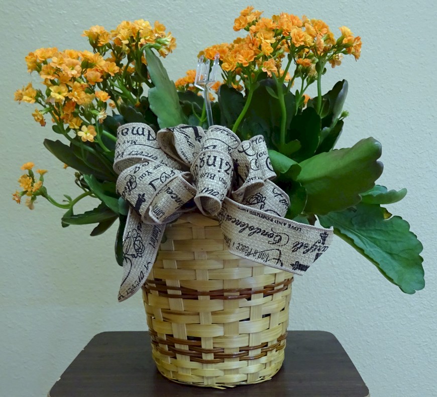 Flowers from Don, Mary, and Families