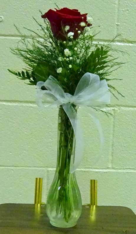 Flowers from Lane Kroetch