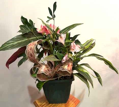 Flowers from Amy and CJ Jaenisch