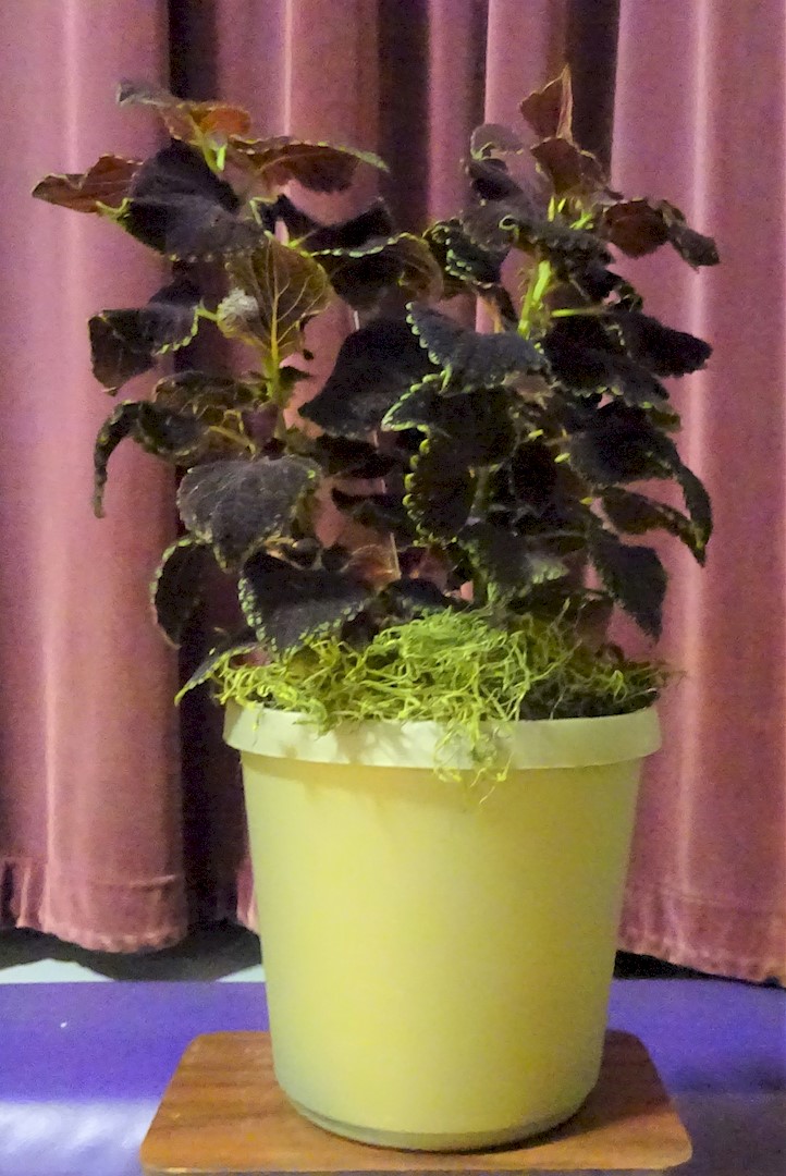 Flowers from Jake VanderMay Family