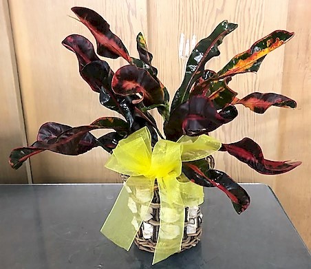 Flowers from Bud Weller and Terri and Families