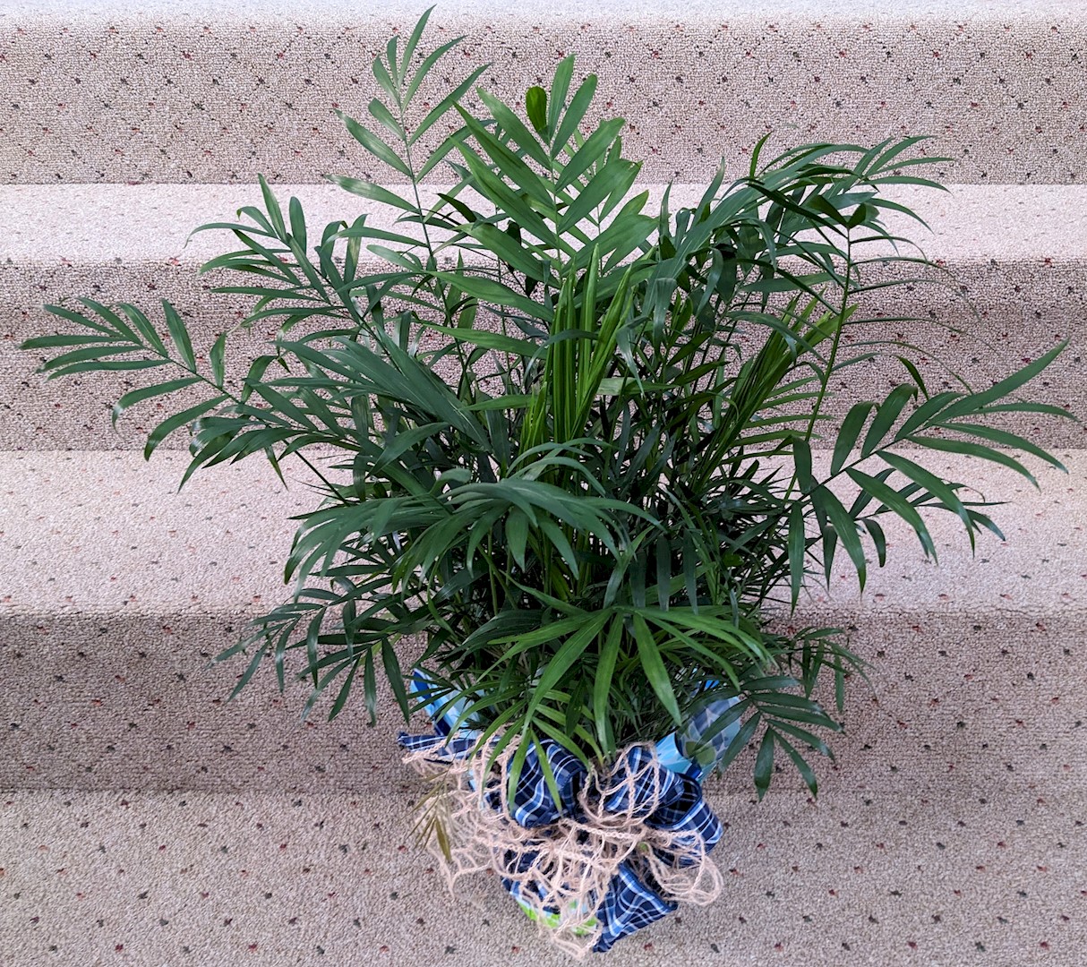 Flowers from The Spin Gals - Marcy, Karen, Kathy, and Doreen