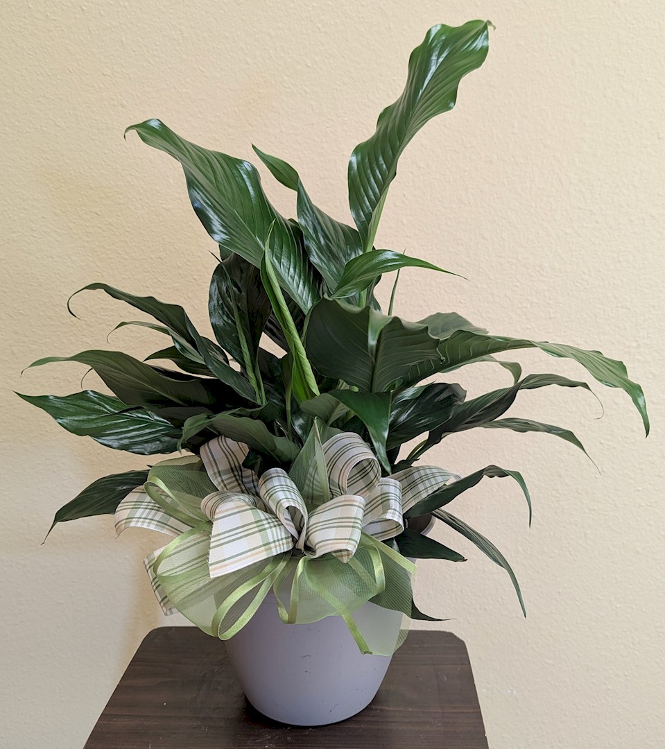 Flowers from Dakota Country Pharmacy