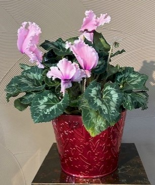 Flowers from Your Kadoka Nursing Home Family