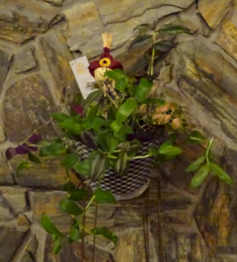 Flowers from Mike and Shar