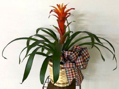 Flowers from Myron and Cora