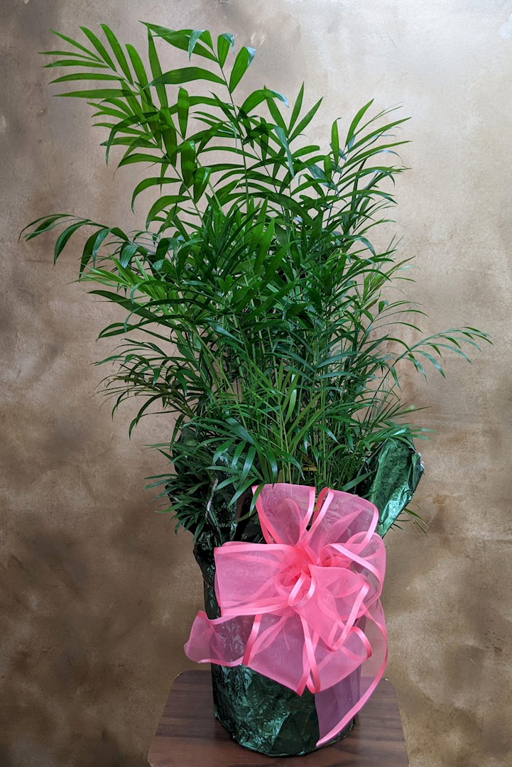 Flowers from Randy Kolden; Don and Linda Peek; and Marlin and Edwin Brenden