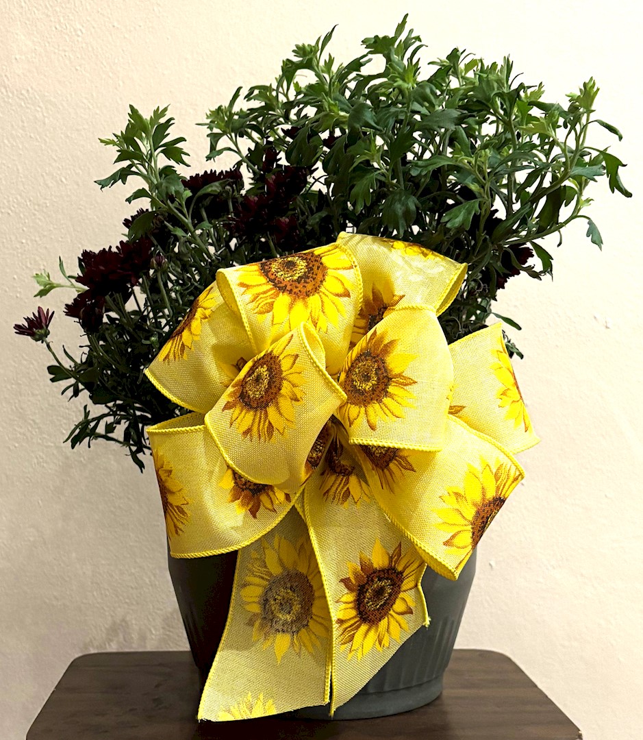 Flowers from Carol Anne Keyser Hodge