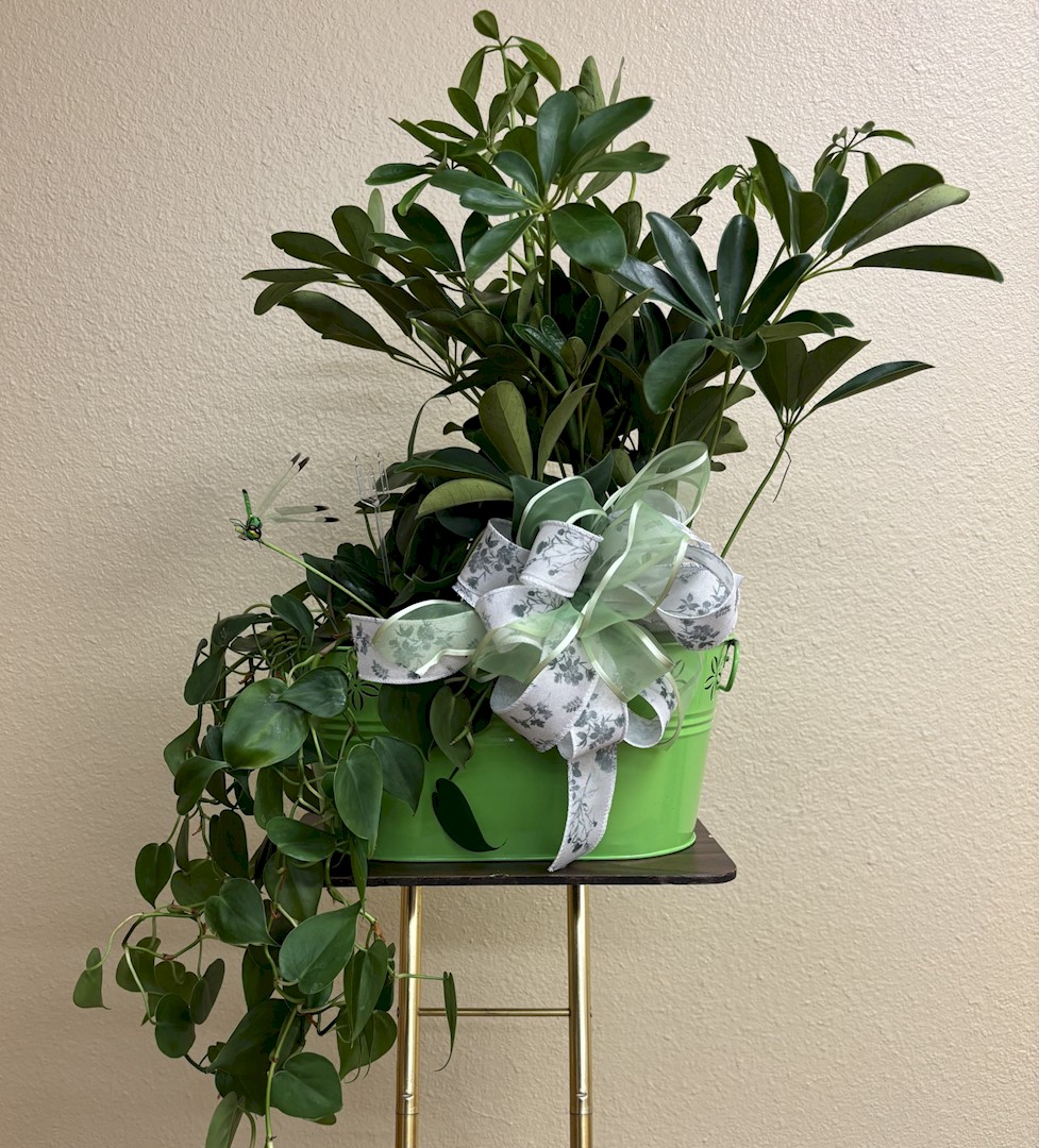 Flowers from The Quinns