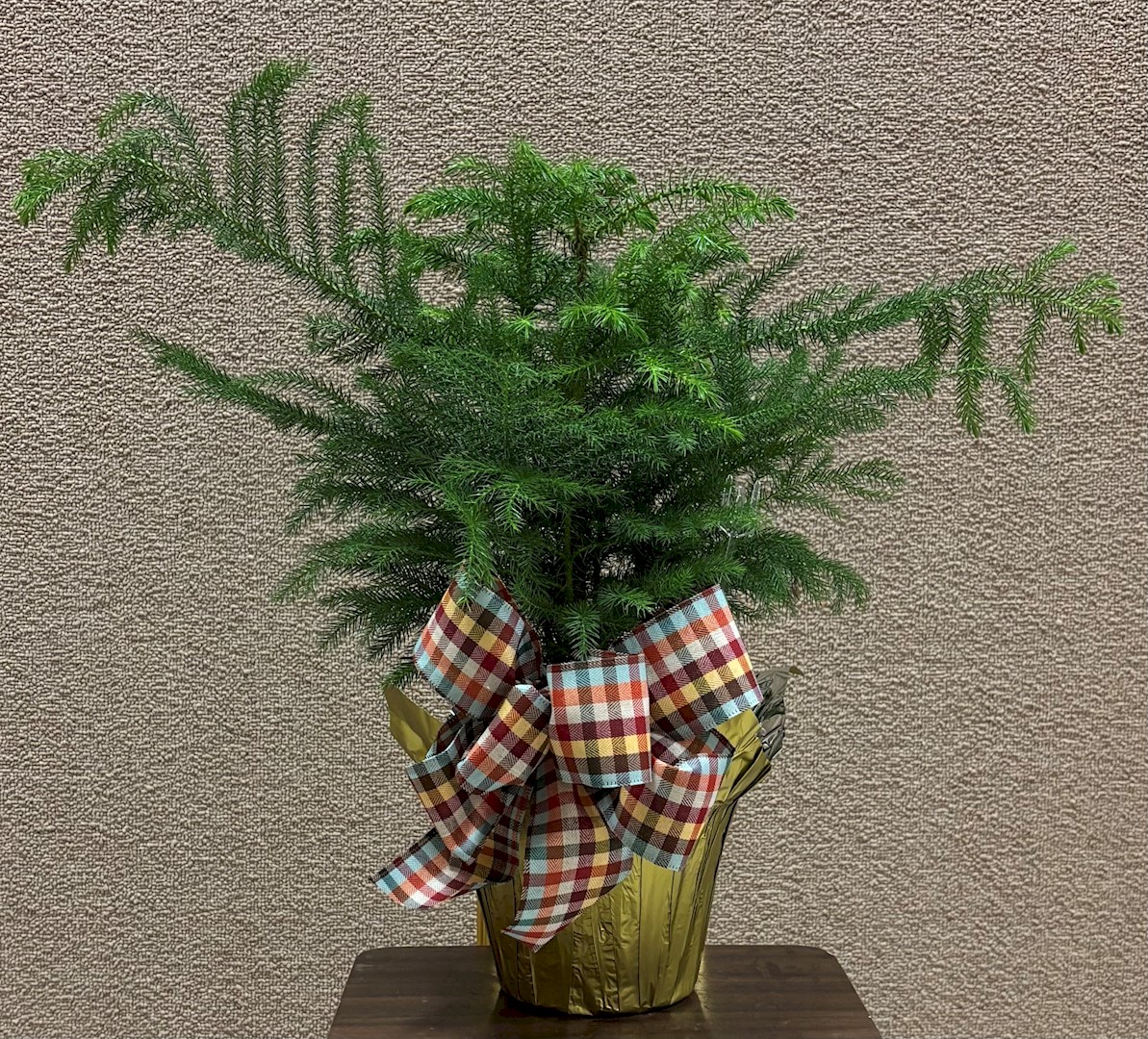 Flowers from Dan and Cindy Hauk