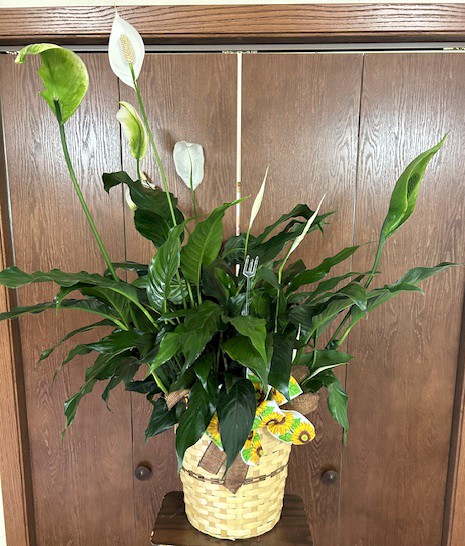 Flowers from Jerry Hammerquist; Jay Hammerquist and Families; and Kris Schmanski and Family