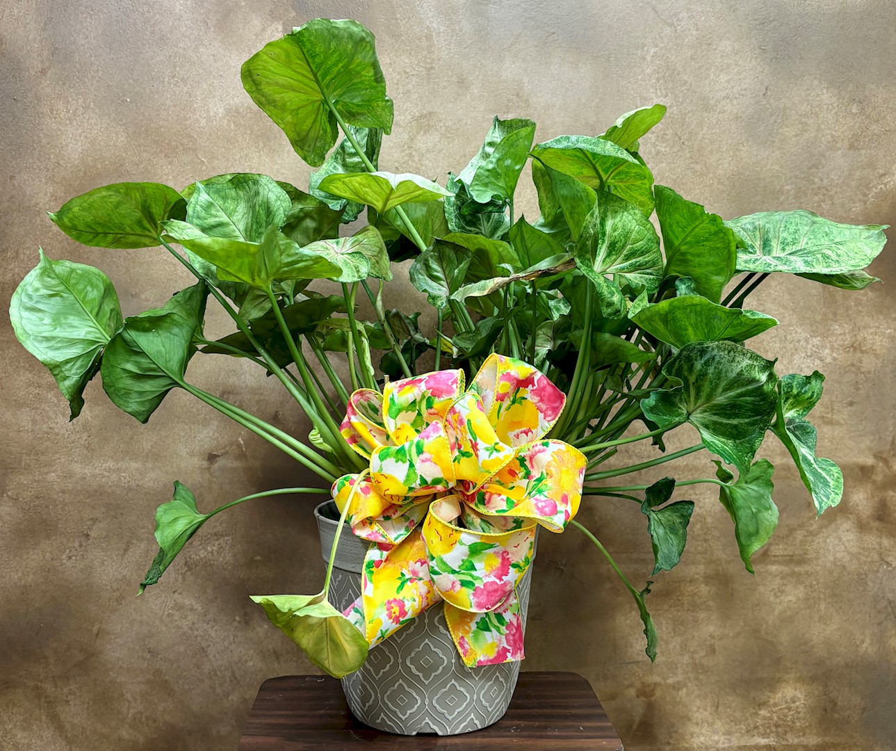 Flowers from The O'Callaghans