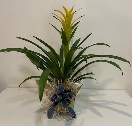 Flowers from Betty K; Gail and Wanda; and Dale and Barb