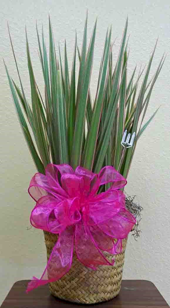 Flowers from Jones County School Board and Administration