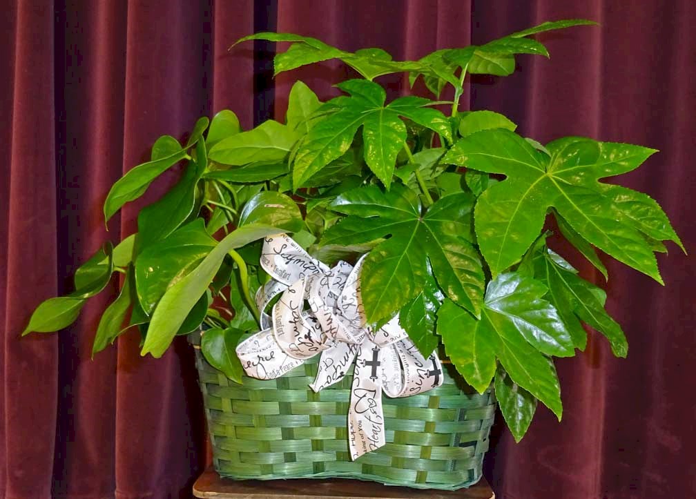 Flowers from Lloyd and Patsy Brinkman