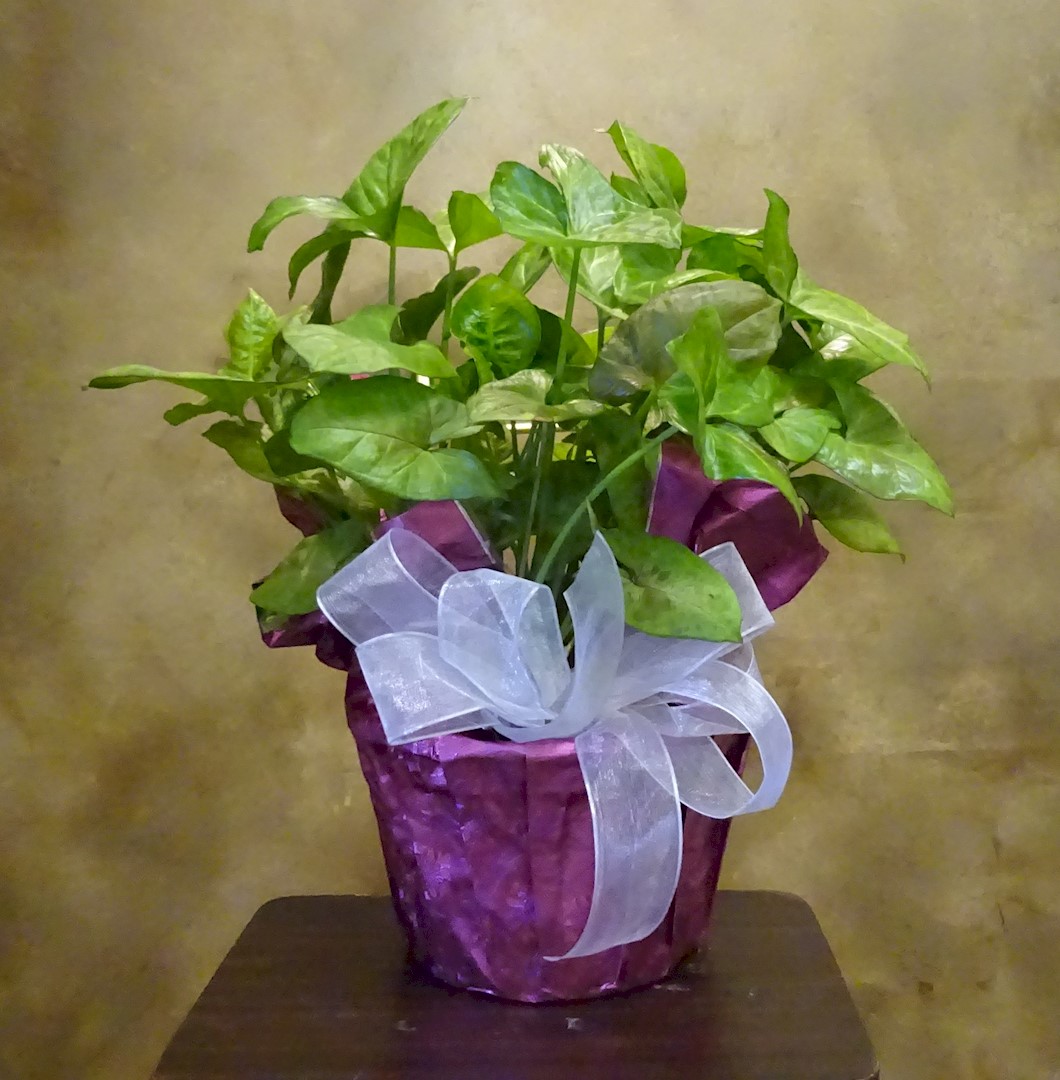 Flowers from Our Lady of Victory Parish
