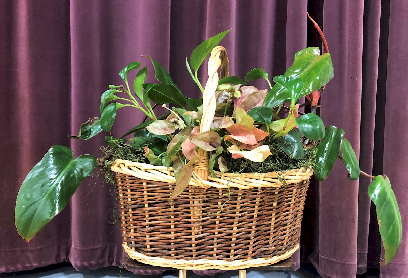 Flowers from Class of 2010