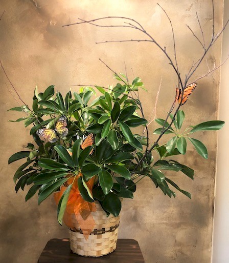 Flowers from Randy and Bessie Neville Family