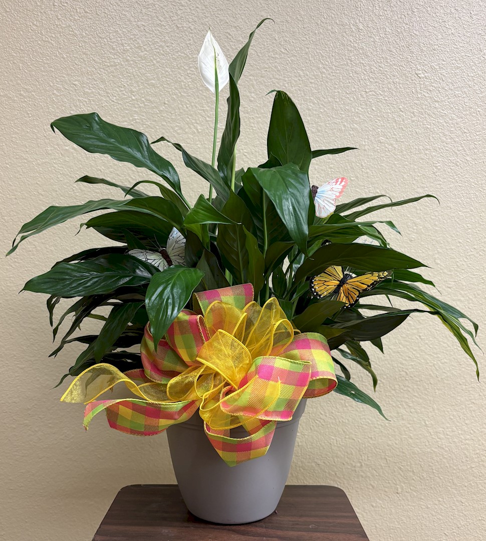 Flowers from Gail