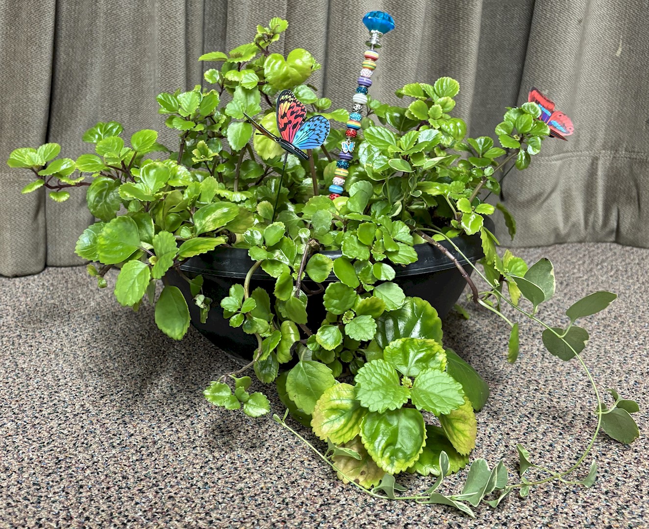 Flowers from Mike and Shar Moses Family