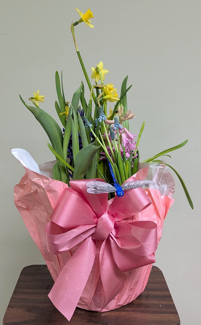 Flowers from Dan and Cindy Hauk