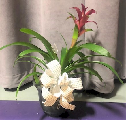 Flowers from Dan and Cindy Hauk Families