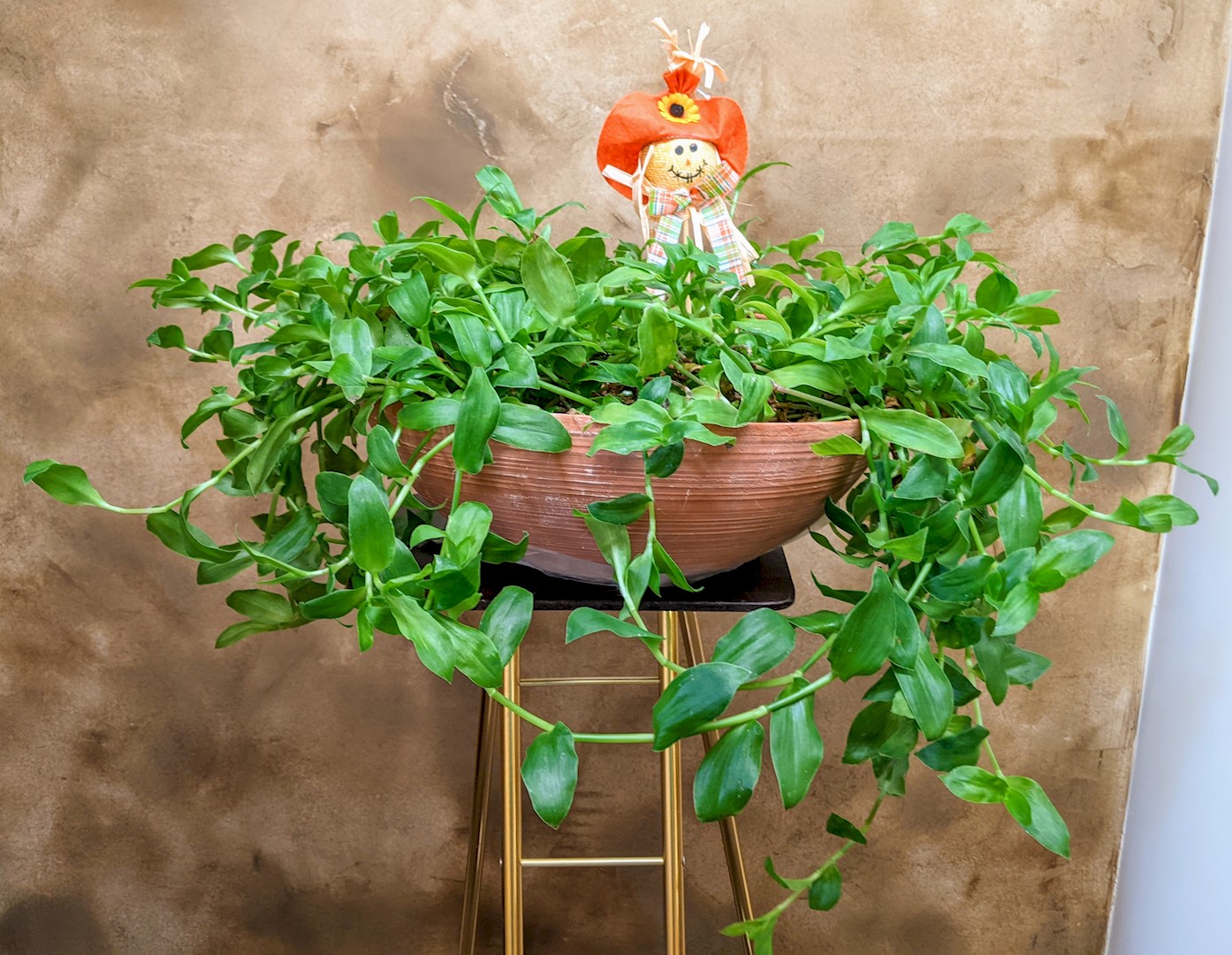 Flowers from Mike and Shar Moses