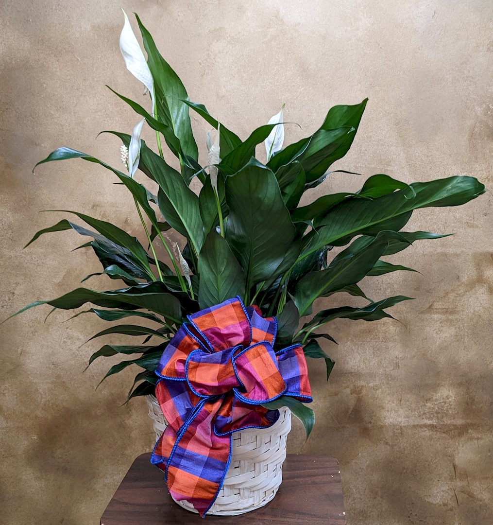 Flowers from Kelly, Kara, John, and Peggy Barger