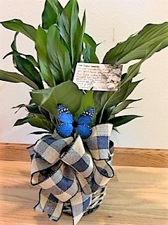 Flowers from Dan and Mary Lustig