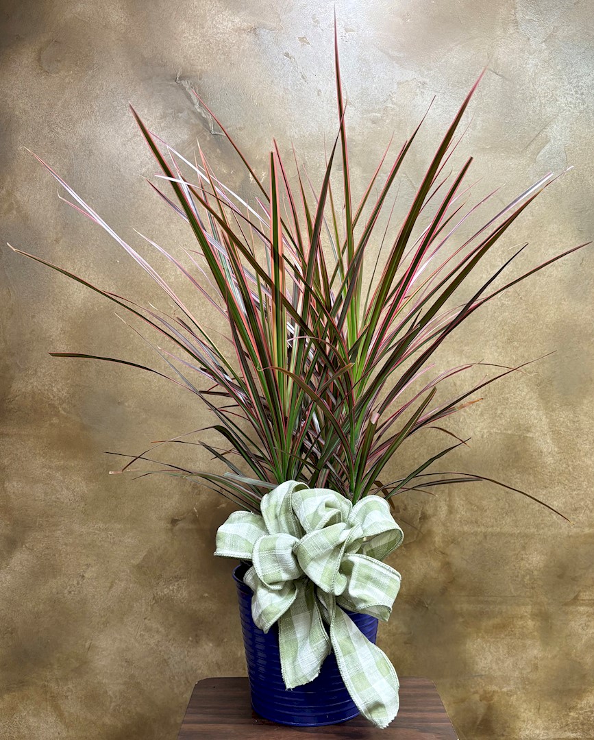 Flowers from Dakota Country Pharmacy