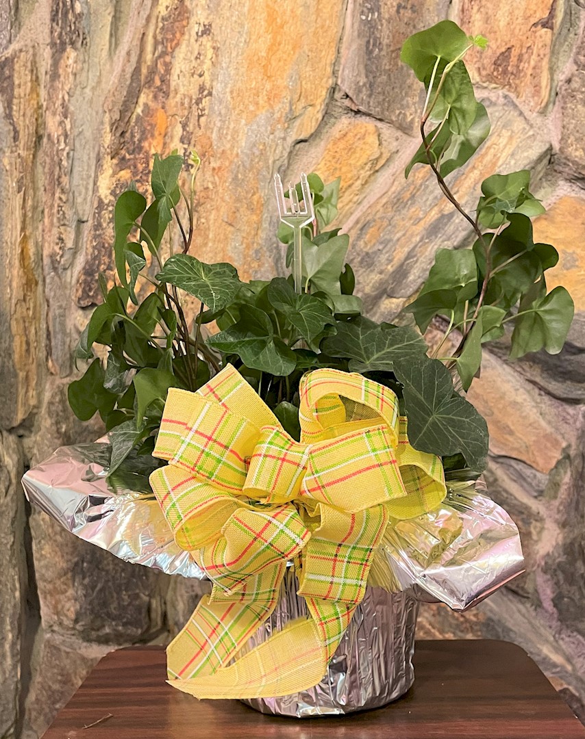 Flowers from Dan and Cindy Hauk